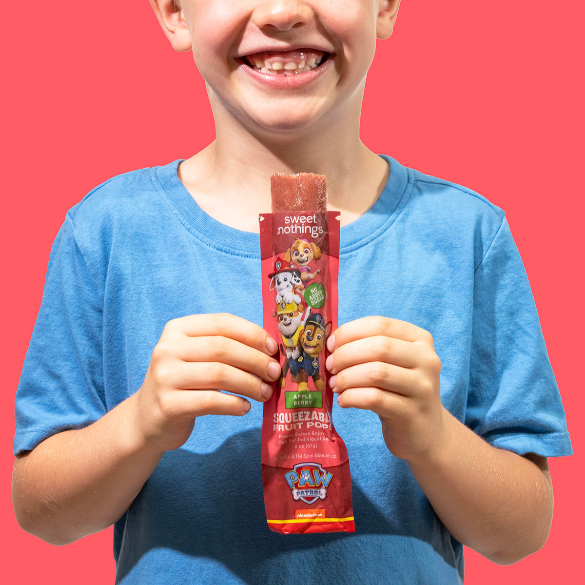 Apple Berry PAW Patrol Squeezable Fruit Pop